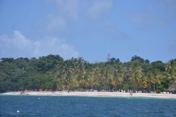 Ballenas Jorobadas - Imagen 7